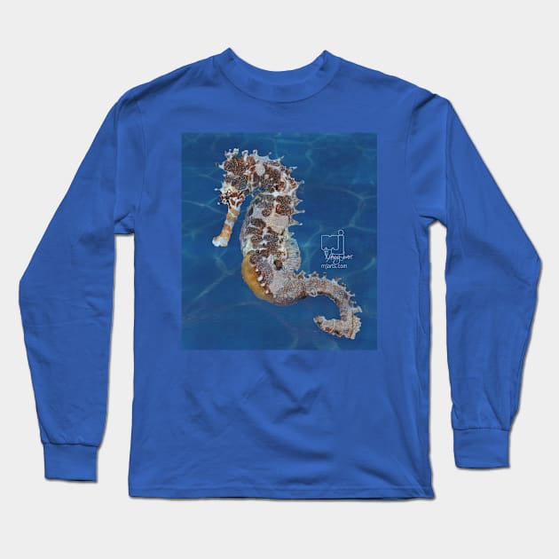 sea horse Long Sleeve T-Shirt by mjartscom